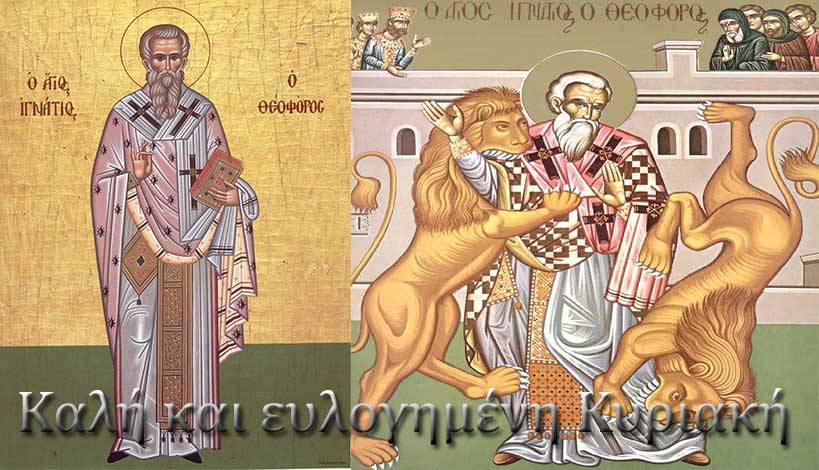 Ορθόδοξος συναξαριστής 29 Ιανουαρίου, Ανακομιδή Ιερών Λειψάνων του Αγίου Ιερομάρτυρος Ιγνατίου του Θεοφόρου