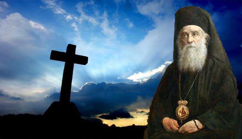 Φαρμακερό φίδι η υπερηφάνεια και πάθος που γεννάει πολλά κακά
