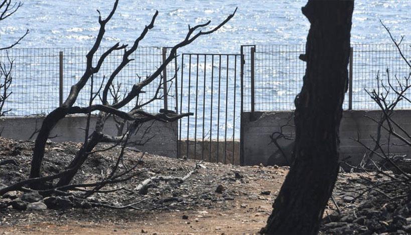 Αθωράκιστη η Ελλάδα απέναντι στις πυρκαγιές καταγγέλλει η WWF