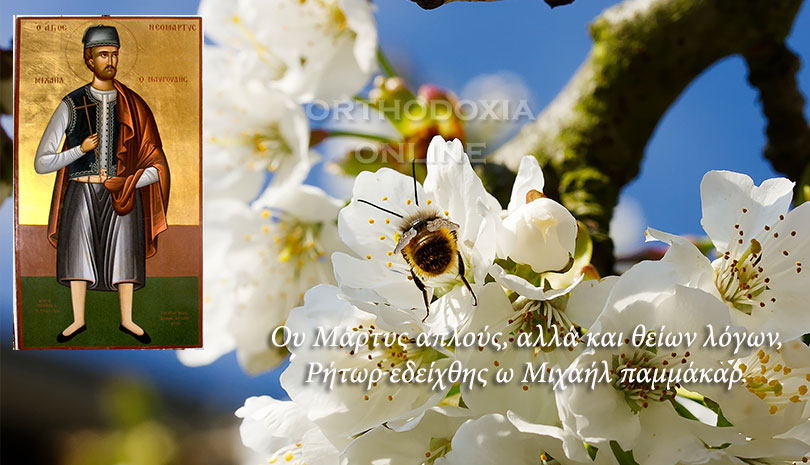 Άγιος Μιχαήλ ο Μαυρουδής, τον έκαψαν ζωντανό οι Οθωμανοί στο προαύλιο του Ιερού Ναού της Υπαπαντής του Σωτήρος