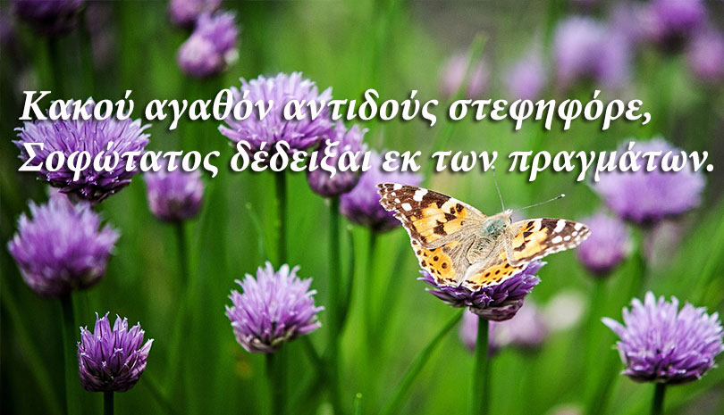 Τον πρόδωσε γιατί δεν την αγάπησε και έγινε μάρτυρας