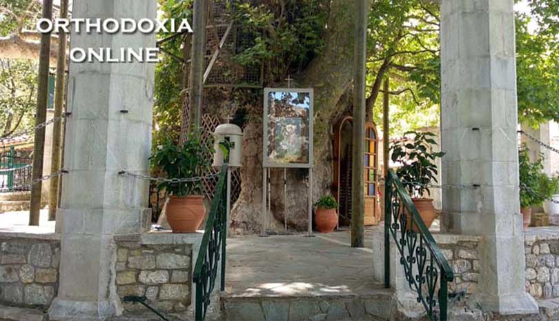 Εορτολόγιο 2020 | 8 Σεπτεμβρίου γιορτάζει η Παναγία Πλατανιώτισσα