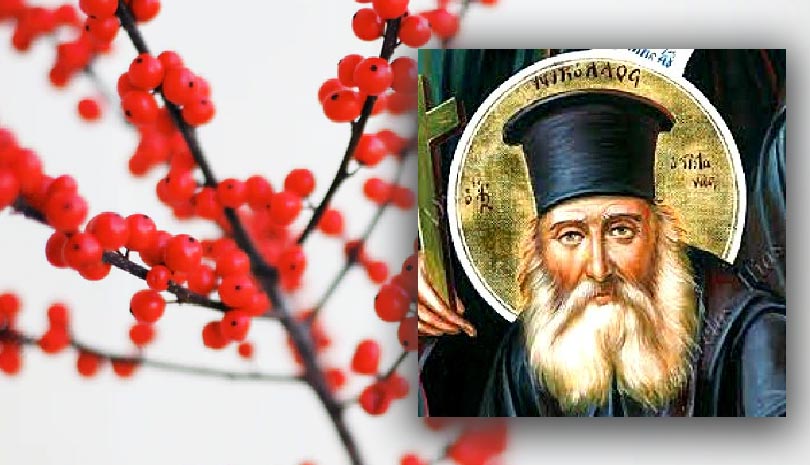 Εγώ παιδί μου με την υπομονή τα έβγαλα πέρα τα τόσα σκάνδαλα