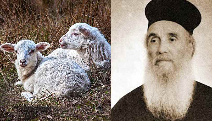 Η αθωότητα είναι ανώτερη από την ιδιοφυΐα