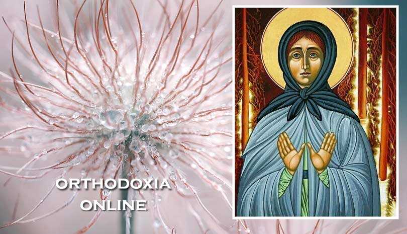 Εορτολόγιο 19 Φεβρουαρίου - Οσία Μαρία του Όλονετς
