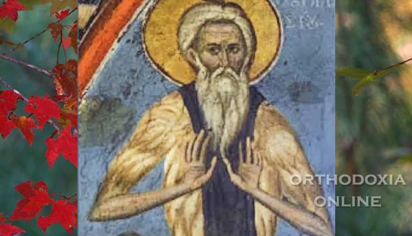 Ο Όσιος Λάζαρος ο Θαυματουργός, ο Γαλλησιώτης (Γιορτή 7 Νοεμβρίου 2024)
