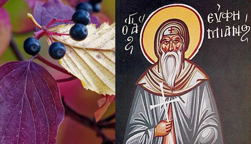 Άγιος Ευφημιανός ο θαυματουργός