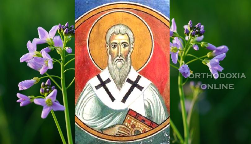 Σήμερα γιορτάζει ο Όσιος Ζήνων