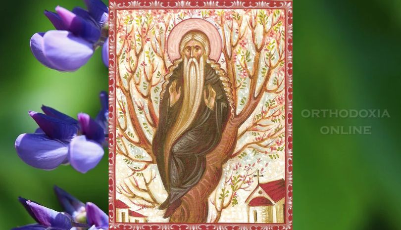 Όσιος Δαβίδ από τη Θεσσαλονίκη – 26/6/2023