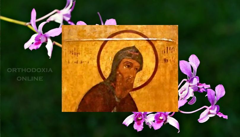 Όσιος Ιωάννης επίσκοπος Γοτθίας – 26/6/2023