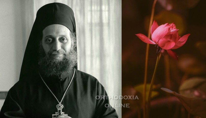 Αυτό που νοσταλγούσες θα το πάρεις σε μια στιγμή