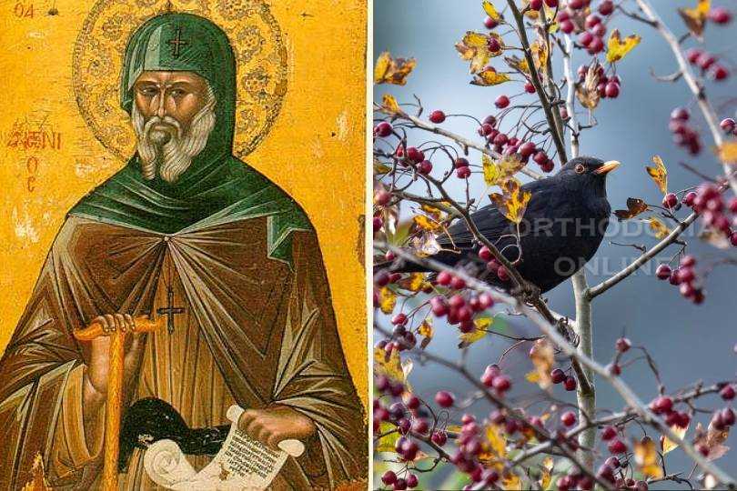 Άγιος Αντώνιος ο Μέγας, εορτολόγιο, Τετάρτη, 17/1/2024