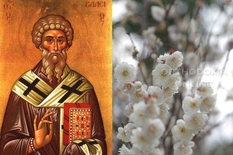 Σήμερα γιορτάζει ο Άγιος Βλάσιος επίσκοπος Σεβαστείας